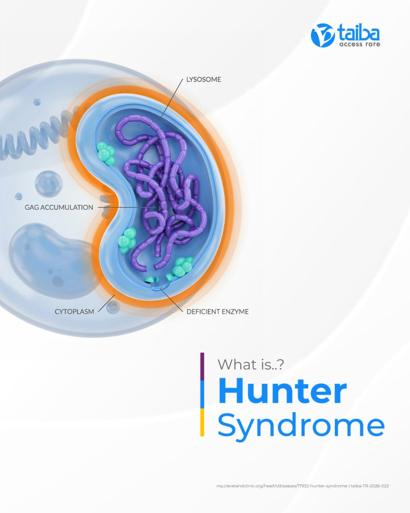 What is Hunter Syndrome?